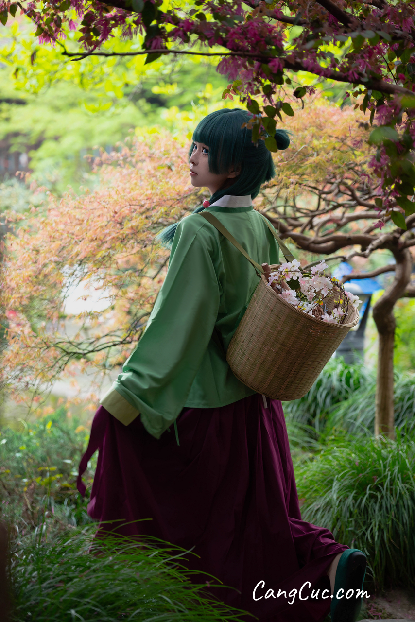 Coser@矢量鱼 – Maomao